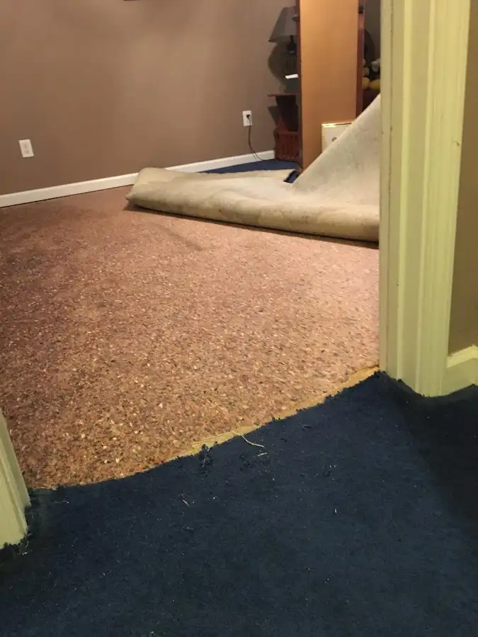 Carpet pad removal revealing water damage during Drying & Dehumidification in Point Pleasant