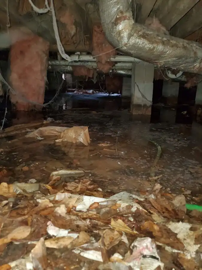 Crawl space flood assessment for Leak Detection & Repair in Point Pleasant