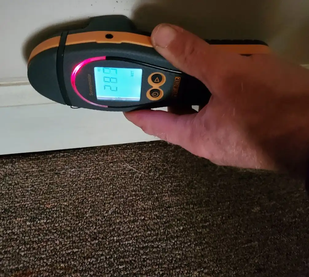Moisture detection at baseboard during Sewage Cleanup & Sanitation in Point Pleasant